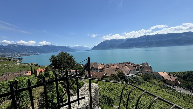 Chexbres - Chexbres, 1071 Chexbres, Switzerland