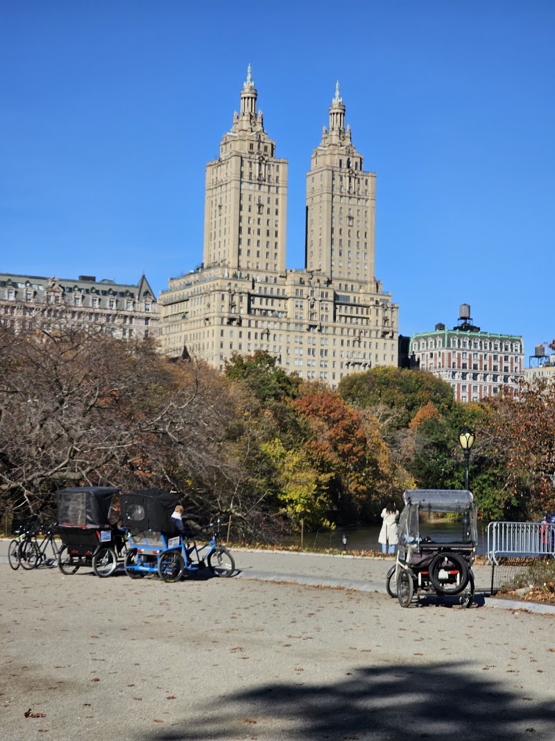NYC Central Park Horse Carriage Rides since 1858 - NYC Central Park Horse Carriage Rides since 1858 7th Ave & 59th Street, 180 Central Park S Drive, New York, NY 10019, USA