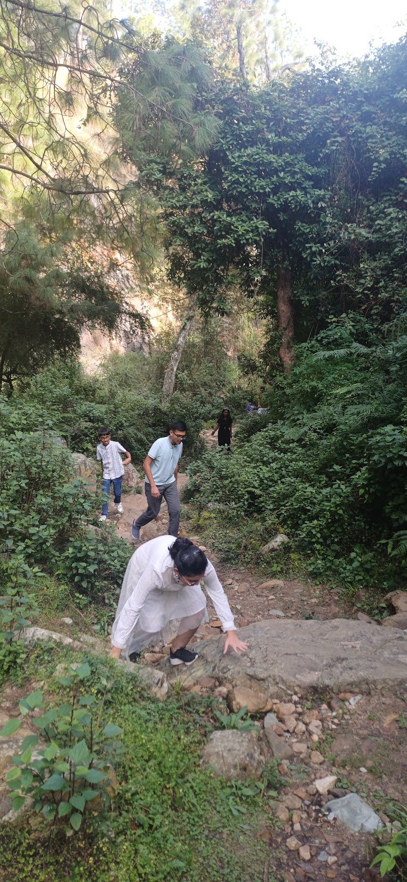 Rudradhari Waterfall - Rudradhari Waterfall RHX4+R95, Kantali, Someshwar Range, Uttarakhand 263639, India
