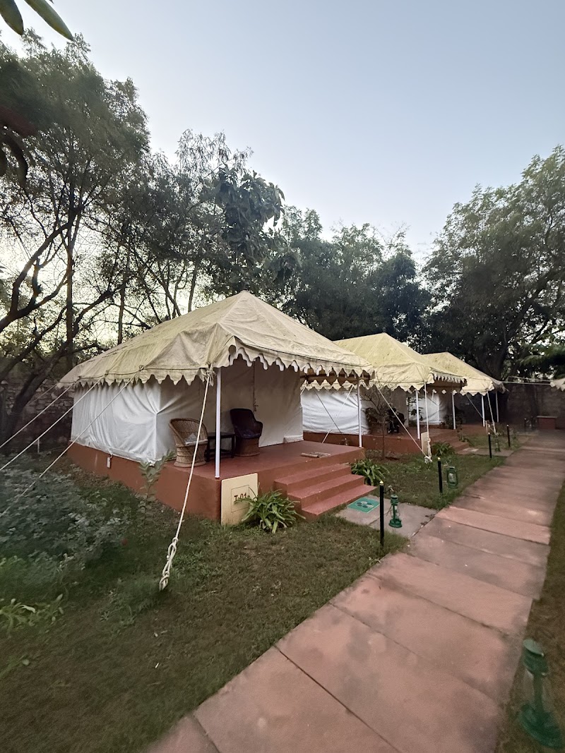 Jungle View Resort - Jungle View Resort, 2CX4+4RQ, Ranthambhore Rd, near Ranthambore National Park, Sawai Madhopur, Rajasthan 322001, India
