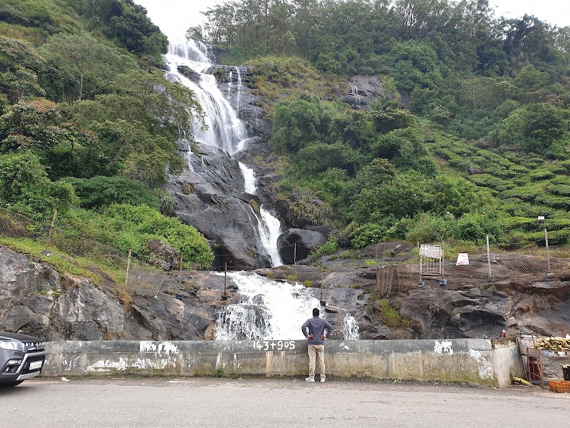 Seekend Holidays Munnar - Seekend Holidays Munnar, Periyakanal-Venad, Road, Chinnakanal, Kerala 685613, India