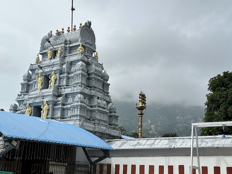 Sri Prasanna Venkateswara Swamy Temple, Appalayagunta - Sri Prasanna Venkateswara Swamy Temple, Appalayagunta Appalayagunta, Tirupati, Ayyannagaripalle, Andhra Pradesh 517551, India