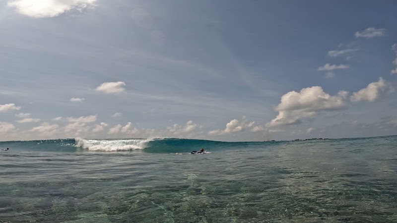 Raalhu Edhuru Surf School - Raalhu Edhuru Surf School 9MF3+PH6, Thulusdhoo, Maldives