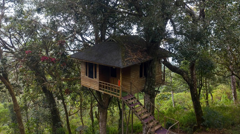 Christopher Holidays® - Christopher Holidays® IX/163 Laksham colony, Vatanappally, Munnar, Kerala 685612, India