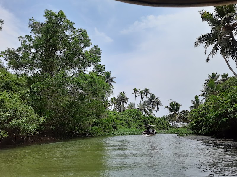 Poovar Lake Port Back waters - Poovar Lake Port Back waters Thiruvananthapuram, Poovar, Kerala 695525, India