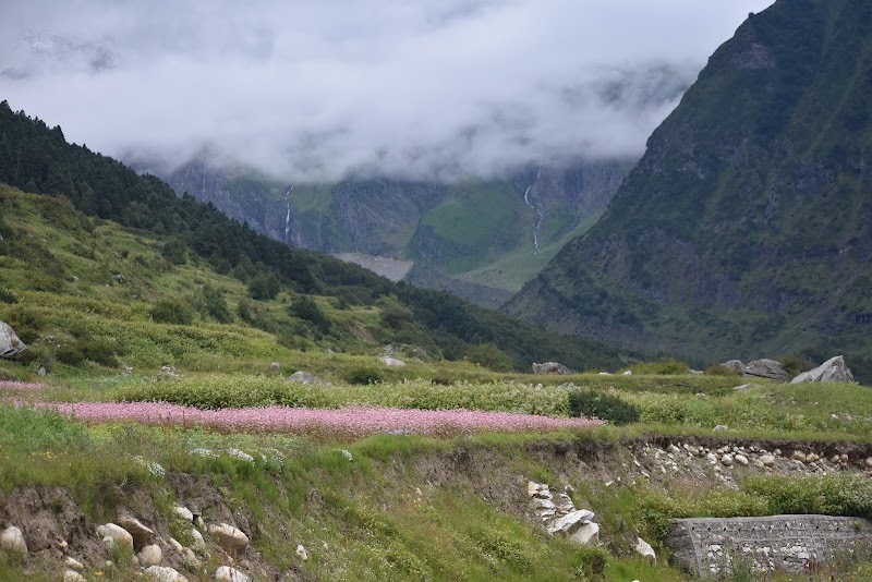 Dugtu - Dugtu, Uttarakhand 262545, India