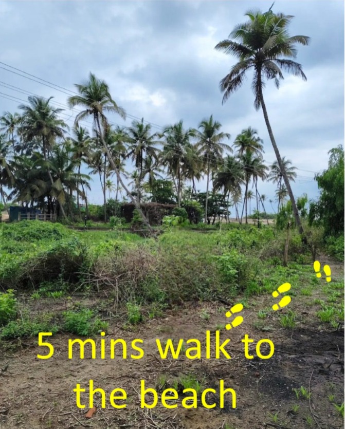 Casa Hillary Guest House - Casa Hillary Guest House House no 427, 2, Colva Beach Rd, Colva, Goa 403708, India
