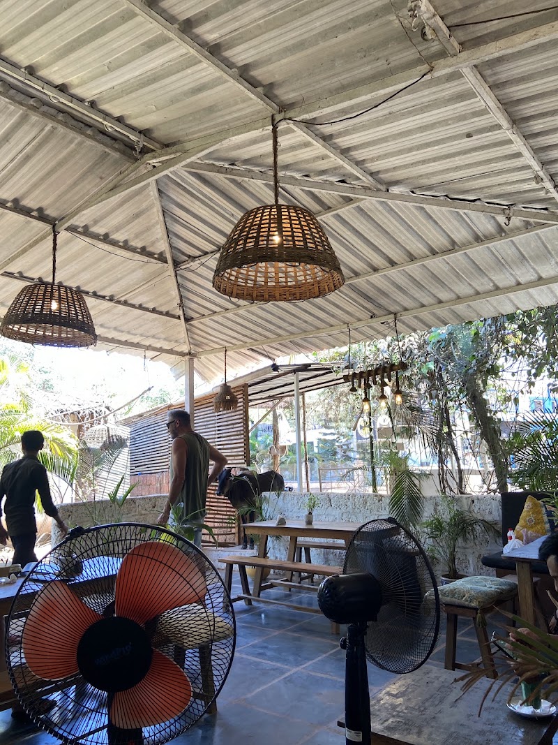 Bibhitaki Vegan & Vegetarian Cafe - Bibhitaki Vegan & Vegetarian Cafe Patnem Main Road, Mohanbagh, Palolem, Canacona, Goa 403702, India