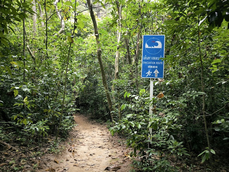 Hong Island Tour - Hong Island Tour, 2RQ8+9HR, Ao Nang, Mueang Krabi District, Krabi 81000, Thailand