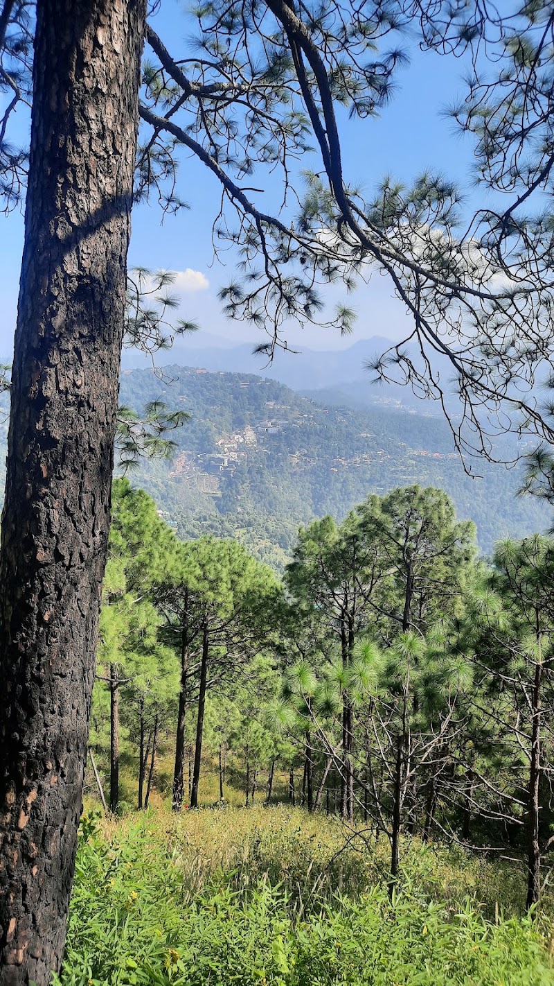 Sunrise View Point - Sunrise View Point Fairholme, Lower Mall, Kasauli, Himachal Pradesh 173204, India