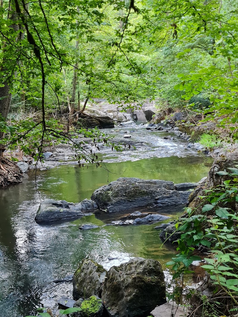 Wolfsschlucht - Wolfsschlucht, 54533 Bettenfeld, Germany