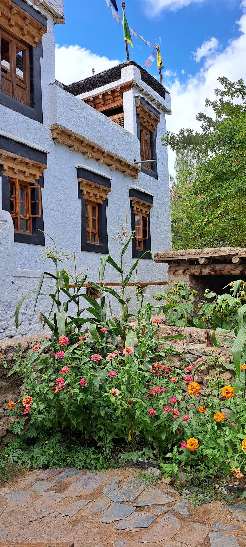 Nimmu House Ladakh - Nimmu House Ladakh Nangso House, Leh, Nimmoo, 194107