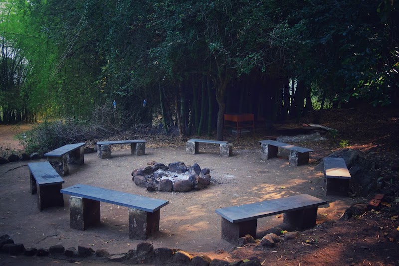 Glen View Jungle Resort - Glen View Jungle Resort, Bokkapuram, Masinagudi, Sholur, Tamil Nadu 643223, India