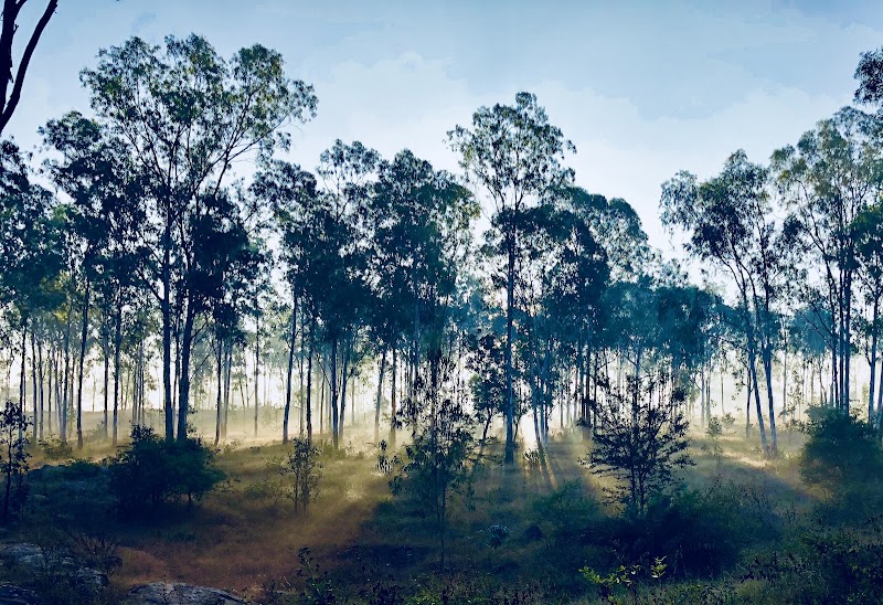 Turahalli Forest - Turahalli Forest 100 Feet Rd, Thurahalli, Bengaluru, Karnataka 560109, India