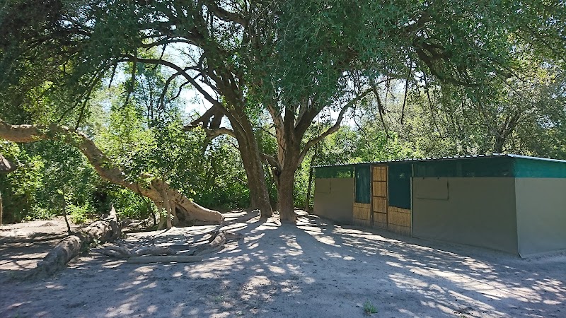 Rupara Campsite - Rupara Campsite, Unnamed Road, MMM6+3MC, Sangwali, Namibia