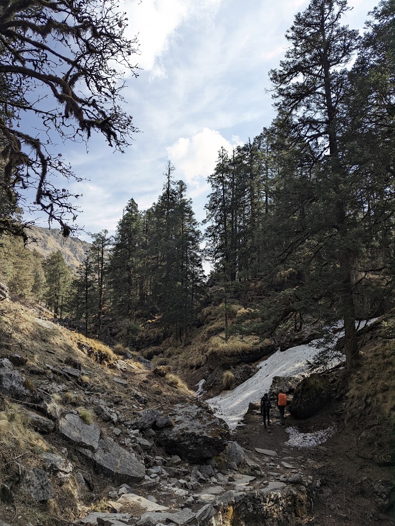 Tali Forest Camp - Tali Forest Camp, FHFF+G5, Salud Dugra, Uttarakhand 246483, India