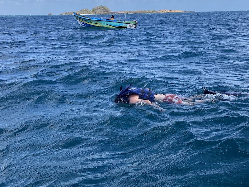 Ocean Plus Trinco Watersport and Dive Center - Ocean Plus Trinco Watersport and Dive Center Sri Lanka, LK Nilaveli 8th mile post, Veloor, Ward no-01邮政编码: 31010