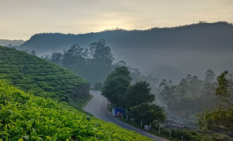 Christopher Holidays® - Christopher Holidays® IX/163 Laksham colony, Vatanappally, Munnar, Kerala 685612, India