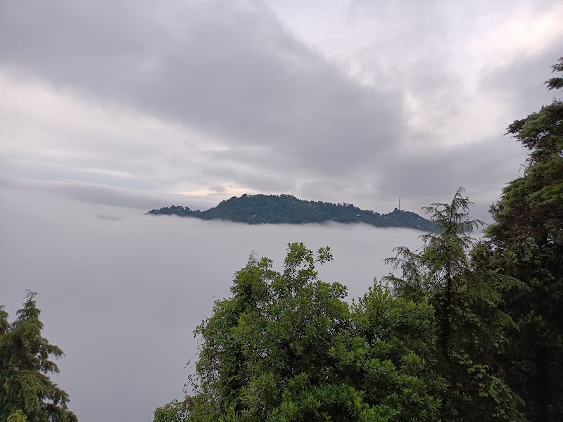 Super Cafe (Gun Hill) - Super Cafe (Gun Hill) F35F+MRG, The Mall Road, Mussoorie, Uttarakhand 248179, India