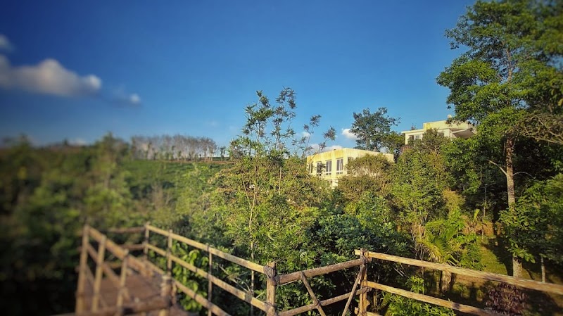 Spicewood Farms Pvt Ltd. - Spicewood Farms Pvt Ltd. Periya, Alattil, Kerala 670644, India