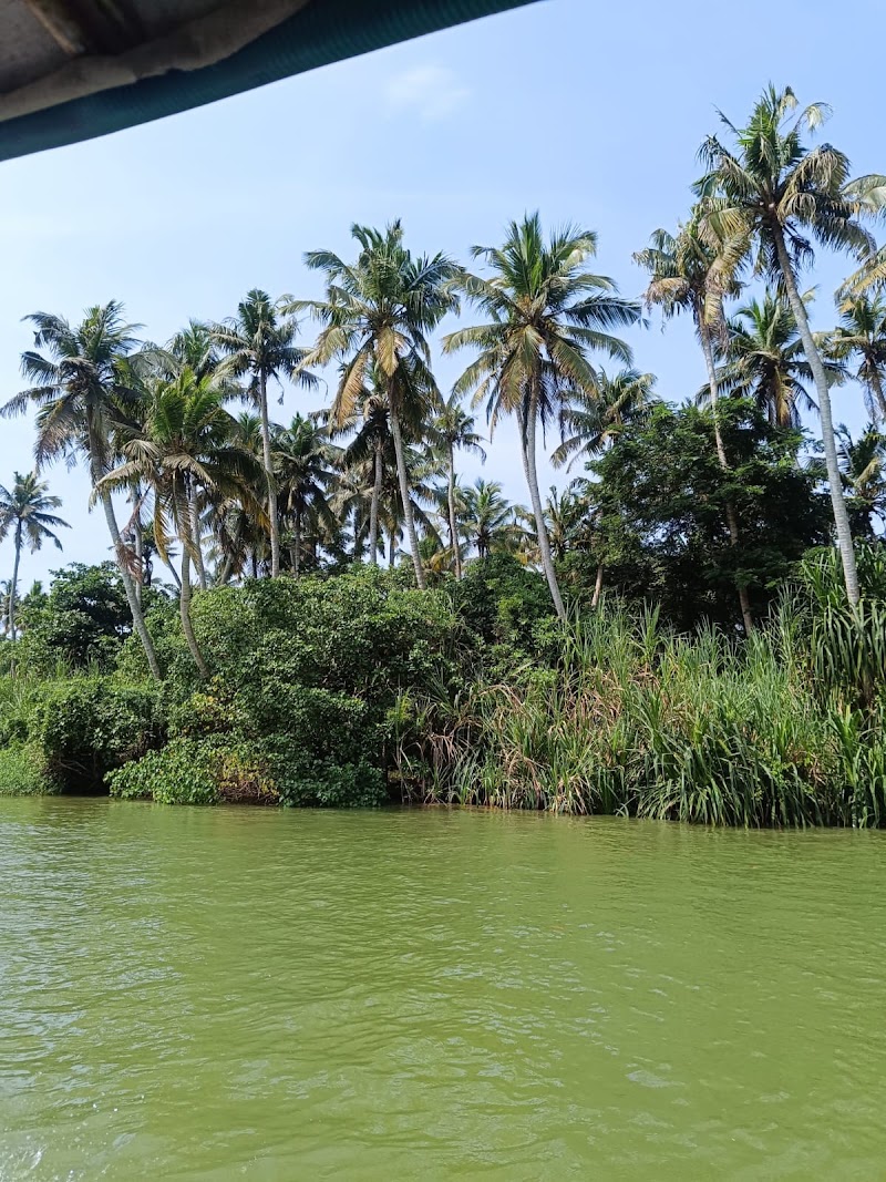 Backwaters in poovar island - Backwaters in poovar island Poovar, Kerala 695026, India