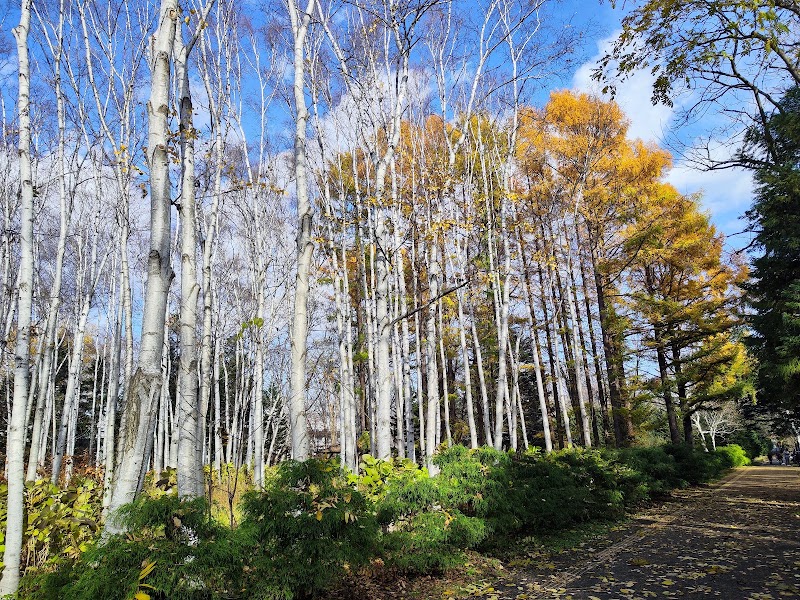 Toyohira Park - Toyohira Park, 13-chōme-２-3-9 Toyohira 5 Jō, Toyohira Ward, Sapporo, Hokkaido 062-0905, Japan