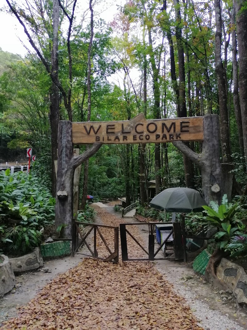 Bilar Man-Made Forest - Bilar Man-Made Forest, M37H+M9X, Loay Interior Road, Bilar, Bohol, Philippines