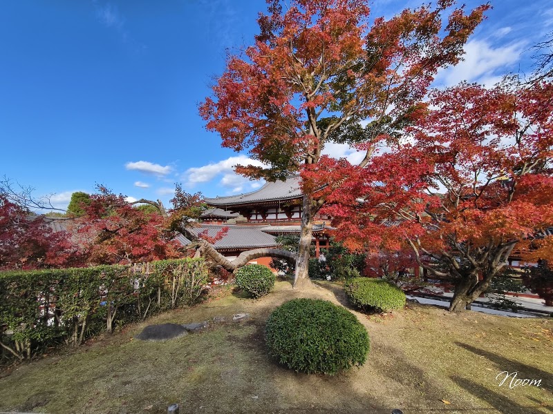 Byōdo-in Temple - Byōdo-in Temple, Renge-116 Uji, Kyoto 611-0021, Japan