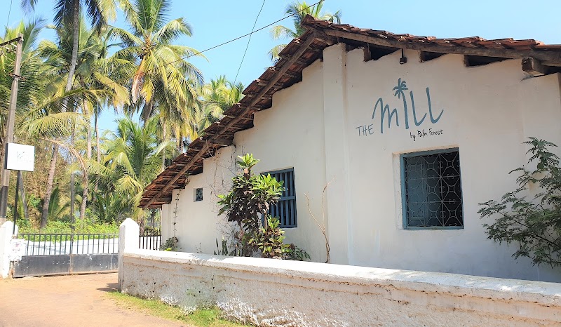 The Mill Cafe - The Mill Cafe Dr Pundlik Gaitonde Rd, Palolem, Canacona, Goa 403702, India