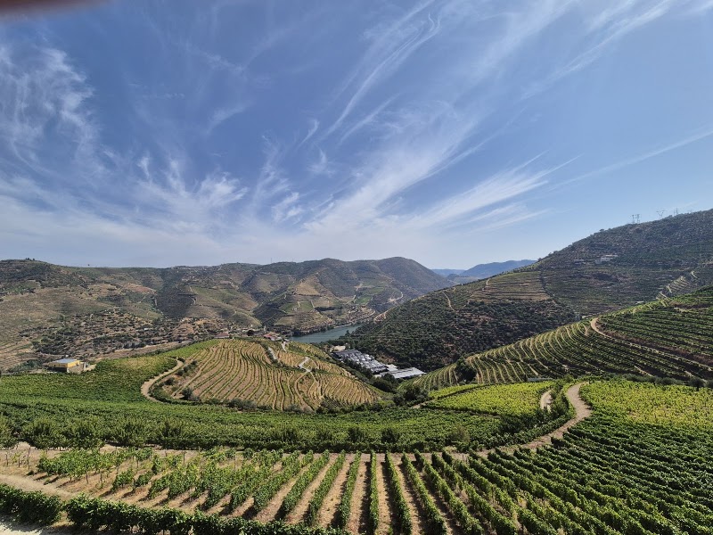 Douro Valley Wine Tours - Douro Valley Wine Tours, R. das Mimosas 4510, 4510-607 São Pedro da Cova, Portugal