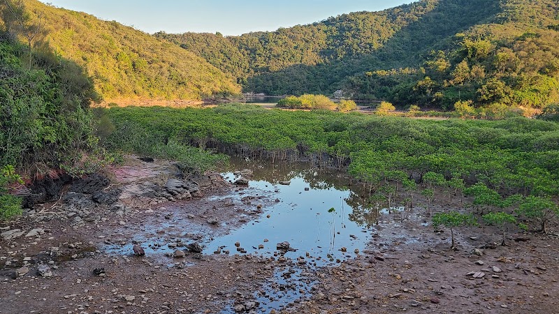 Sam A Tsuen - Sam A Tsuen, New Territories, Hong Kong