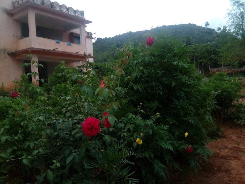 BASANTA KU MALLICK SHOPPING CENTER - BASANTA KU MALLICK SHOPPING CENTER, Basanta Mallick Talasahi, Sudra, Jargi, Odisha 762110, India