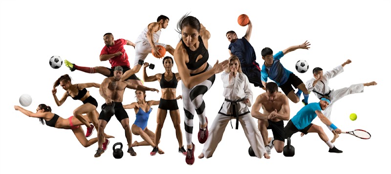 Madhu Sports - Madhu Sports, Railway Rd, Geeta Colony, Ashok Nagar, Sonipat, Haryana 131001, India