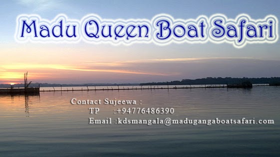 Madu Queen Boat Safari | Madu River