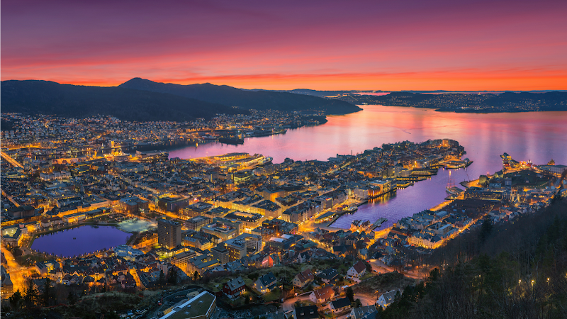 Fløyen