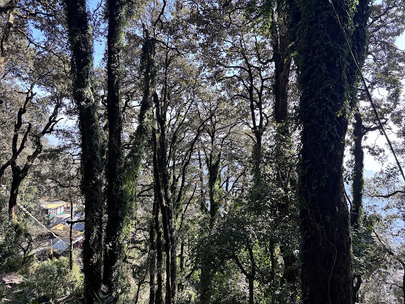 Landour - Landour F452+269, Landour, Mussoorie, Uttarakhand 248179, India