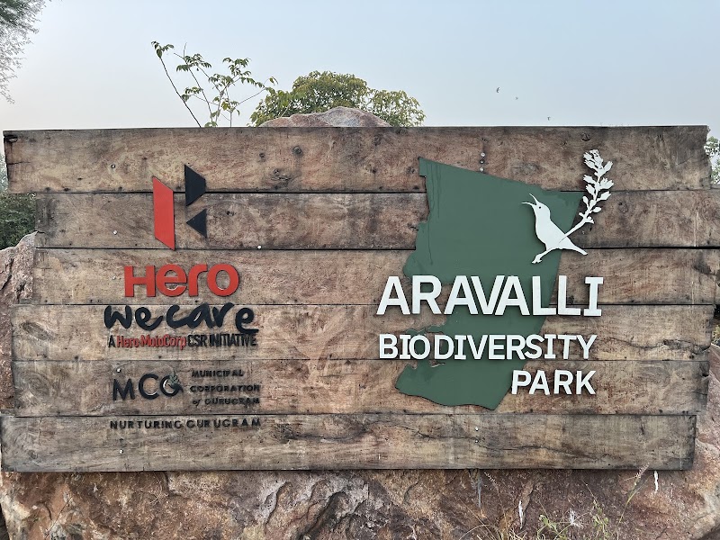 Aravali Biodiversity Park - Aravali Biodiversity Park F4J6+PJ4, Acharya Shree Tulsi Marg, DLF Phase 3, Sector 24, Gurugram, Haryana 122002, India