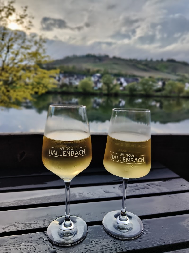 Ferienweingut Hallenbach - Ferienweingut Hallenbach, Brandenburg 20, 56856 Zell (Mosel)-Kaimt, Germany