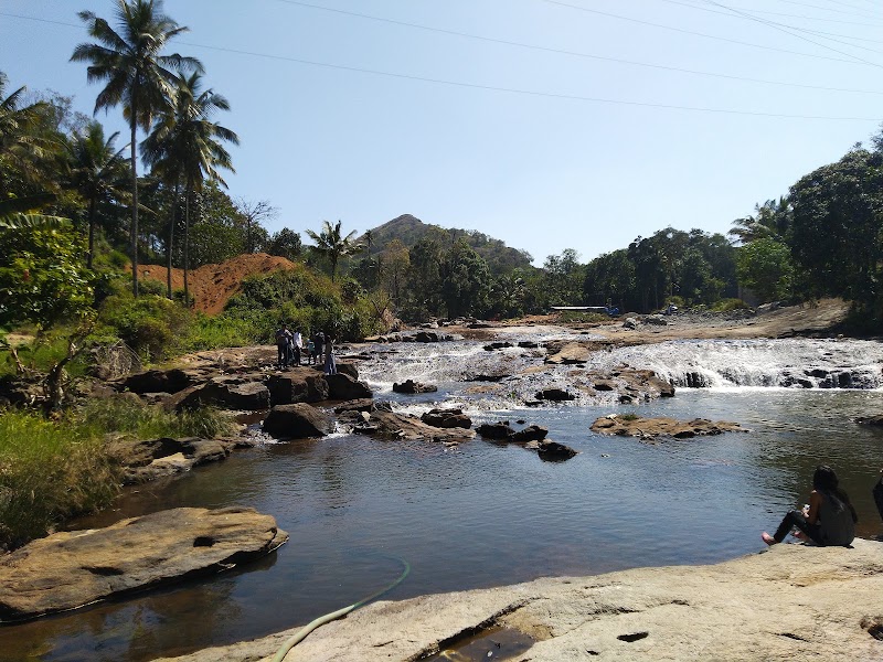 Indian Spices and Herbal Garden - Indian Spices and Herbal Garden, 2RQW+C98, Valara - Vadakkechal Rd, Chillithodu, Keralam 685561, India