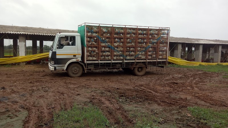 WElCome Poultry Ind.{ROYAL RAJPut Form} - WElCome Poultry Ind.{ROYAL RAJPut Form}, 2VHW+PGX, Jaunda-2, Chhattisgarh 493885, India