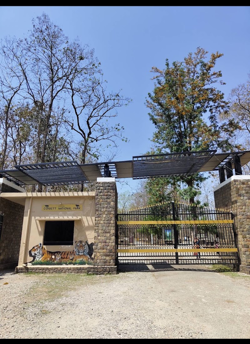 corbett jungle safari advisor - corbett jungle safari advisor telipura road, Jassaganja, Ramnagar, Shivlalpur Khazanchi, Uttarakhand 244715, India