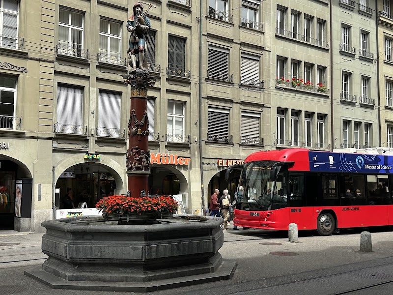 Pfeiferbrunnen - Pfeiferbrunnen Spitalgasse, 3011 Bern, Switzerland