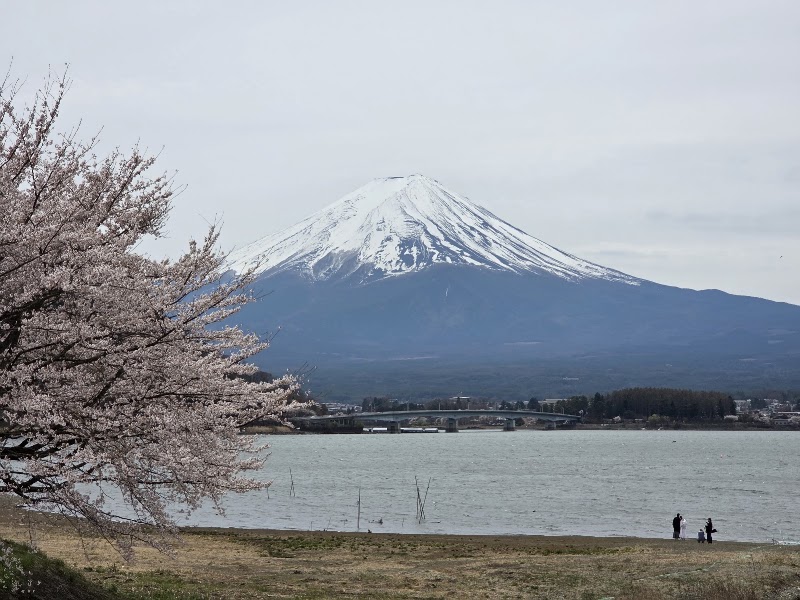 Lake Kawaguchi