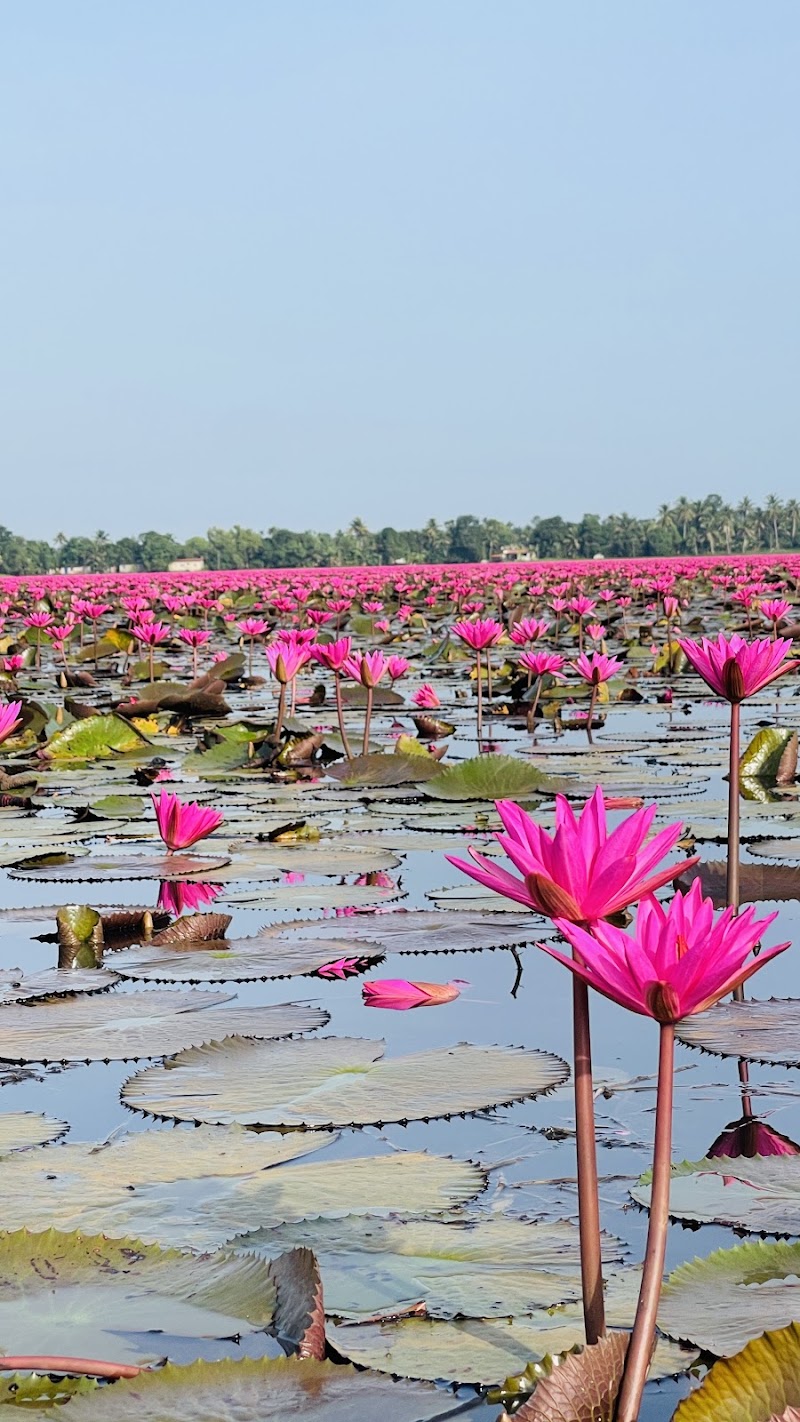 Eden Home Stay - Eden Home Stay, Kunnumpuram, Alappuzha, Keralam 688012, India
