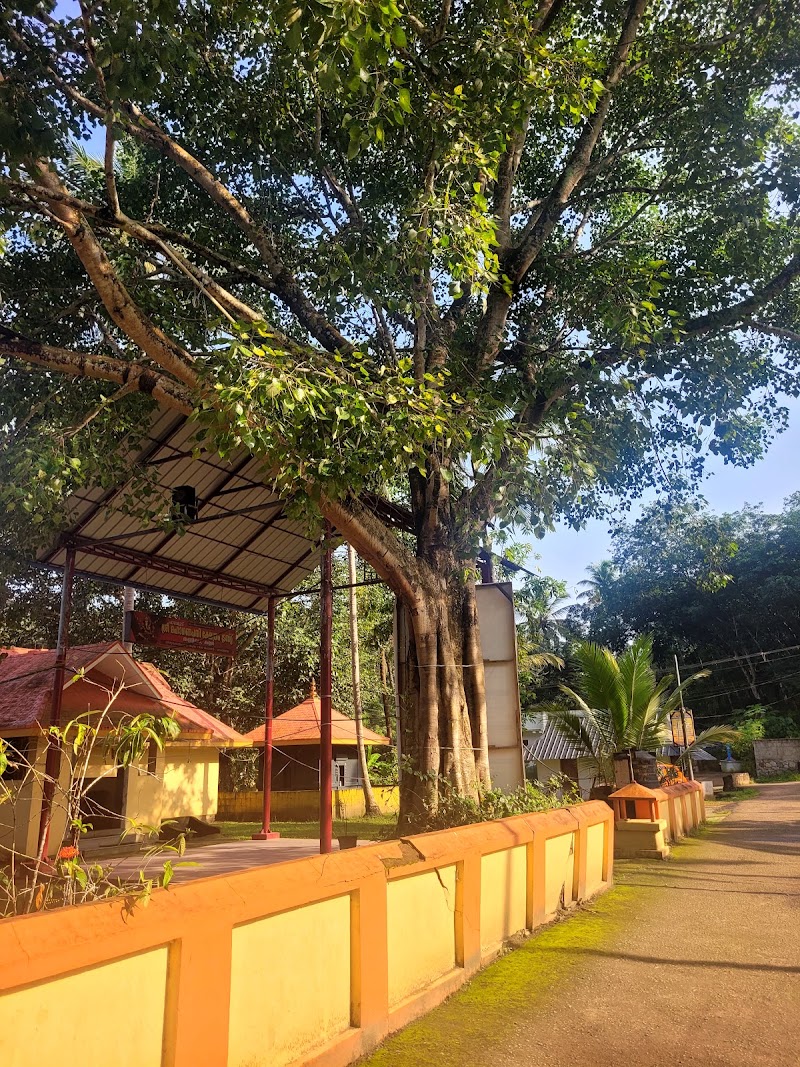 Sree Maha Ganapathy Temple Thanniyam Kallara - Sree Maha Ganapathy Temple Thanniyam Kallara QW4X+CRV, Thanniyam, Kallara, Kerala 695608, India