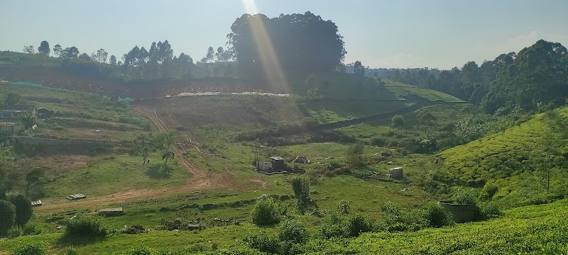 Carolina Tea Estate - Carolina Tea Estate No 1, Carolina Rd, Ottuppattarai, Coonoor, Tamil Nadu 643102, India