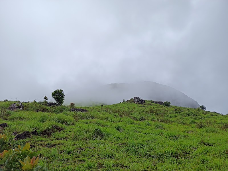 Chirapullu Peak - Chirapullu Peak PW53+MG6, Kerala 670731, India