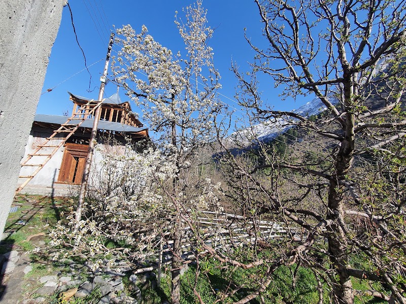 Batseri - Batseri Batseri, Himachal Pradesh 172106, India