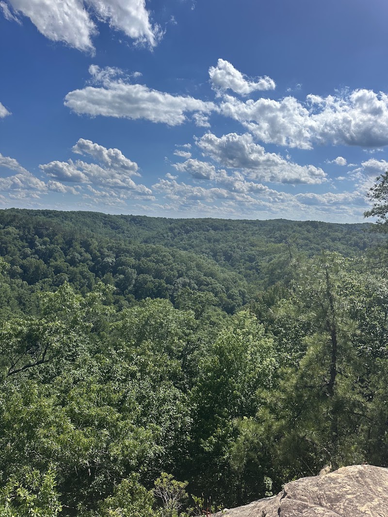 Natural Bridge State Park Woodland Center