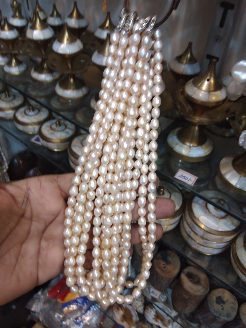 Aachal Sea Shell Emporium - Aachal Sea Shell Emporium, middle point, opp. BJP bhawan Iect building, Aberdeen Bazar, Aberdeen, Sri Vijaya Puram, Andaman and Nicobar Islands 744101, India